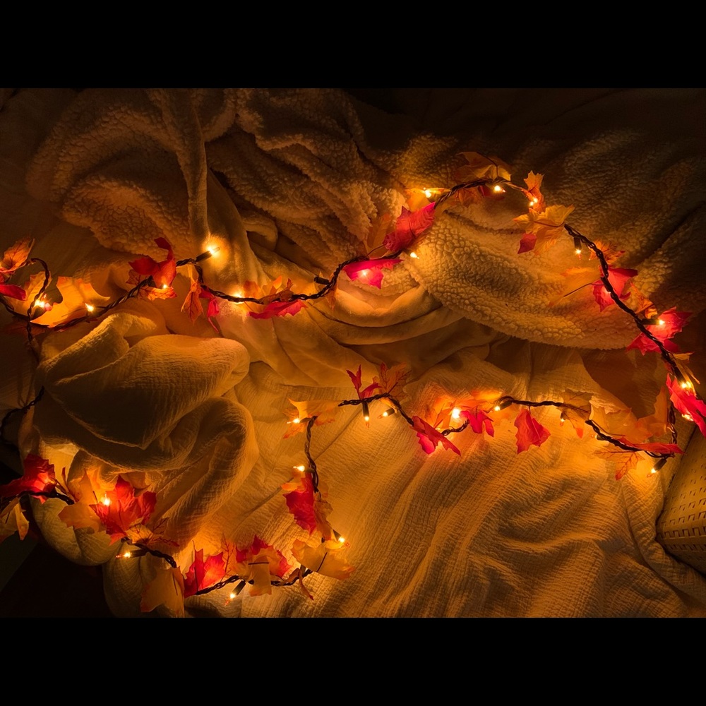 FALL STRING LIGHTS